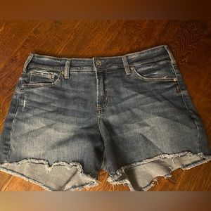 Silver Women’s 32 Shorts